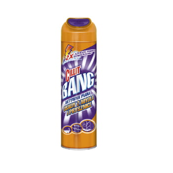 Schaum zum Reinigen von Cillit Bang Seifen- und Duschablagerungen 600 ml