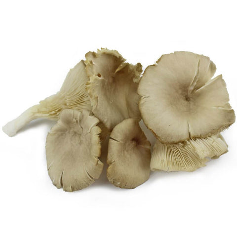Frische Austernpilze BIO (polnisch) (ca. 200g)