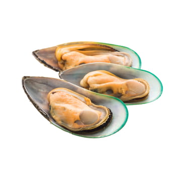 Gefrorene neuseeländische Muscheln auf halben Schalen blanchiert MyFood 1kg