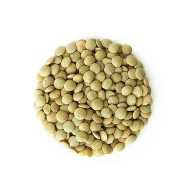 Grüne Linsen BIO (Rohware) (25 kg)