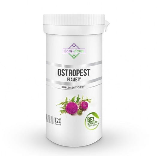 Premium Milk Thistle 120 Capsules Liver SOUL FARM