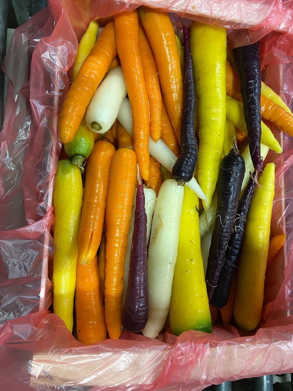 MULTIPACK (kg) - CAROTTES COLORÉES JEUNES FRAÎCHES BIOLOGIQUES (env. 6 kg)