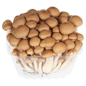 SHIMEJI-PILZE BRAUN 150 G CHINA