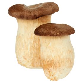 KÖNIGLICHE AUSTER 200 G KOREA