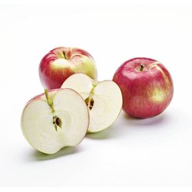 JONAPRINCE APFEL 5 KG POLEN