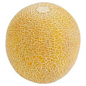 METRO CHEF MELON GALIA KALIBER 4 SPANIEN