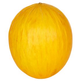METRO CHEF MELONENGELB KALIBER 7 SPANIEN