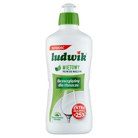 LUDWIK MINZE FLÜSSIG 450 G 6 STK