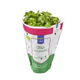 MAKRO CHEF BIO KORIANDER BIO 1 POLNISCHE ART