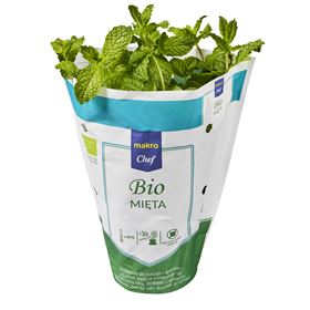 MAKRO CHEF BIO MIĘTA BIO 1 POLNISCHE ART