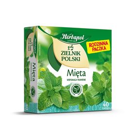 HERBAPOL POLISH HERBARIUM MINT 80 G (40 X 2 G)