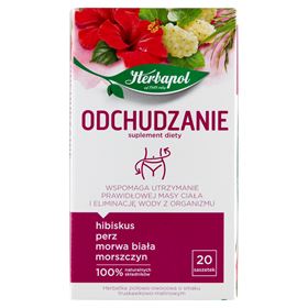 HERBAPOL Schlankheits-Diätergänzung Kräuter-Fruchttee 40 g (20 x 2 g)