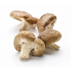 SHII-TAKE-PILZE 200 G POLEN