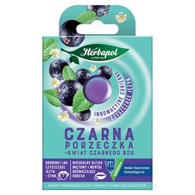 HERBAPOL ERFRISCHENDE SÜSSE MIT FLACHS UND ZINK SCHWARZE JOHANNISBEERE Holunderblüten 20G (8 STÜCK)