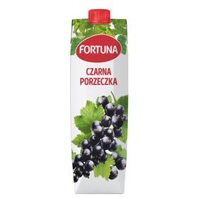 FORTUNA DRINK SCHWARZE JOHANNISBEERE 1 L 6 STK