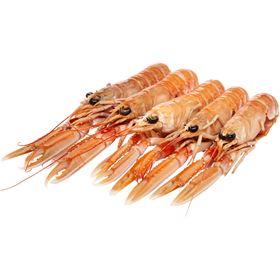 Langustinen 17/18 800 G