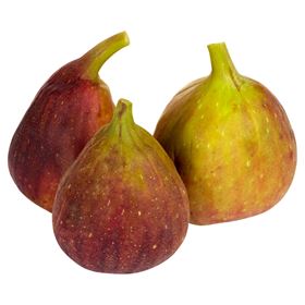 FINE LIFE FIG 4 STÜCK BRASILIEN