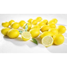 ZITRONEN SPANIEN KLASSE I 9,5 KG