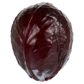 ROTKOHL 10 KG POLEN