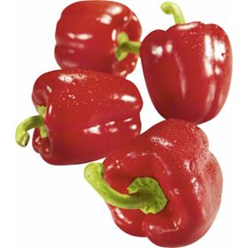 ROTE PAPRIKA 500 G SPANIEN