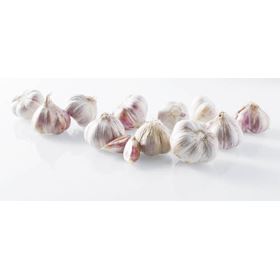 KNOBLAUCH 5 STÜCK POLEN