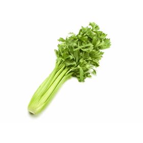 MAKRO-KOCH SELLERIE SPANIEN
