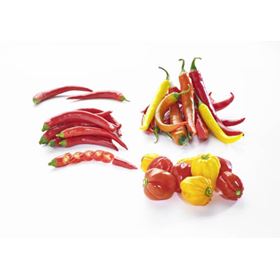 PEPERONI GRÜN 500 G SPANIEN