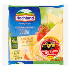 HOCHLAND FRISCHKÄSE GOUDA IN SCHEIBEN 130 G 10 STÜCK
