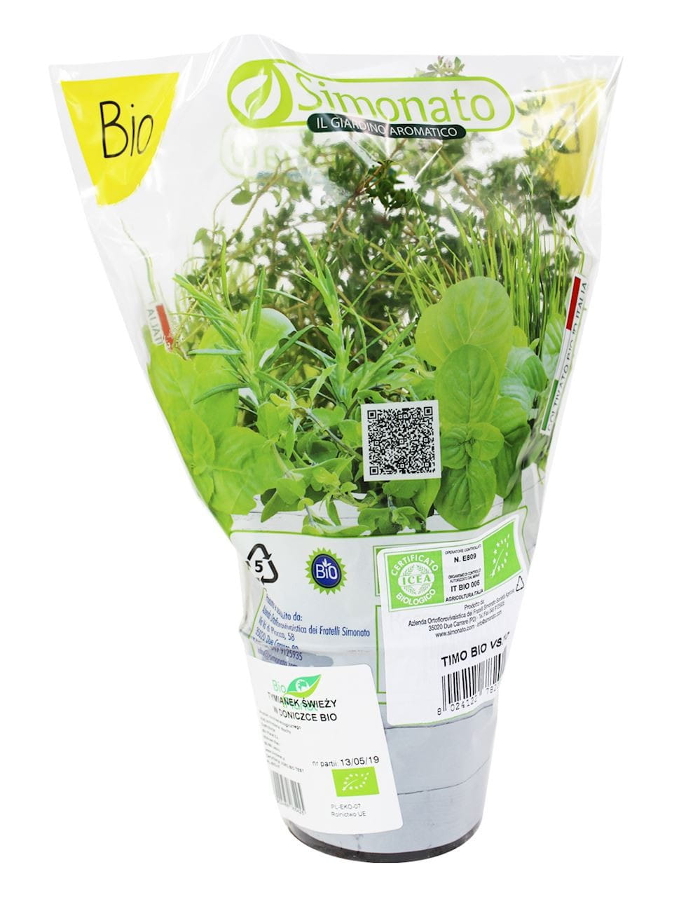 Plant de Thym Bio frais